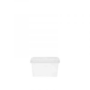 Caja Transparente C/Tapa