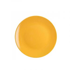 Plato Llano Faience 