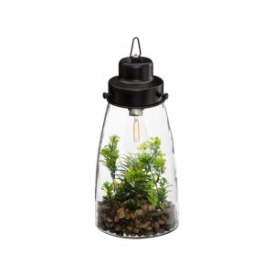 Terrarium C/Bombillo