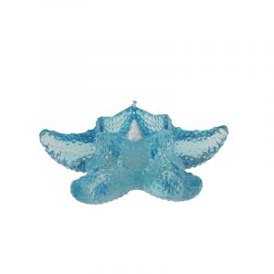 Portavela Estrella Mar