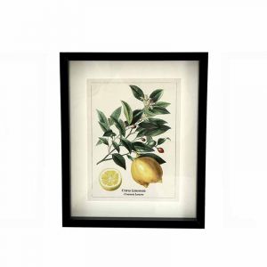 Rocasa Cuadro Cítrico