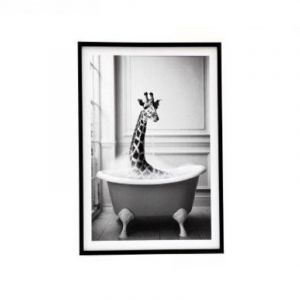 Rocasa Cuadro Baño Animales