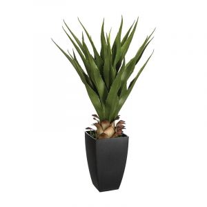 Rocasa Agave E/Maceta