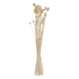 Rocasa Bouquet Flores Secas