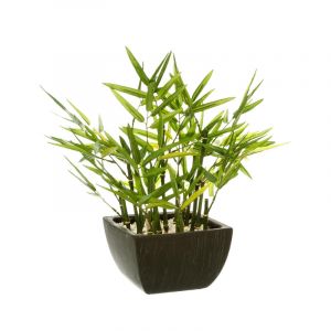 Rocasa Bambú E/Maceta