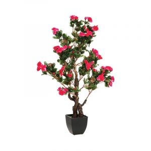 Rocasa Azalea E/Maceta