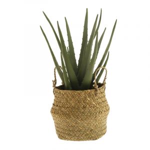 Rocasa Aloe Vera