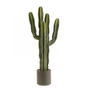 Rocasa Cactus
