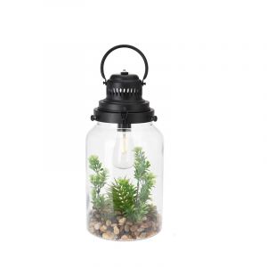 Terrarium C/Bombillo