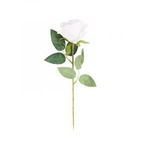 Rocasa Vara Rosa