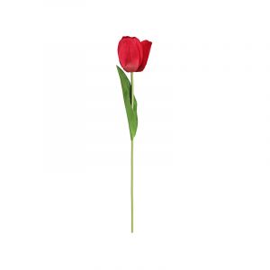 Rocasa Vara Tulipán