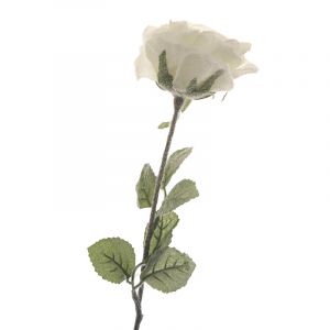 Vara Rosa