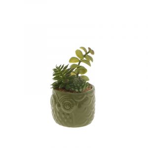 Rocasa Cactus E/Maceta