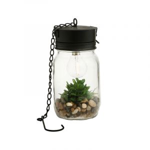 Terrarium Colgante