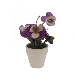 Rocasa Violeta