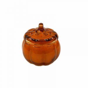 Rocasa Vela Calabaza E/Tarro